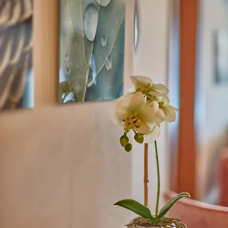 Stylish Place In The Heart Of