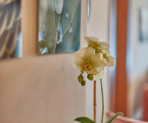 Stylish Place In The Heart Of